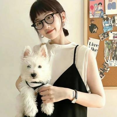 首尔律师 海报